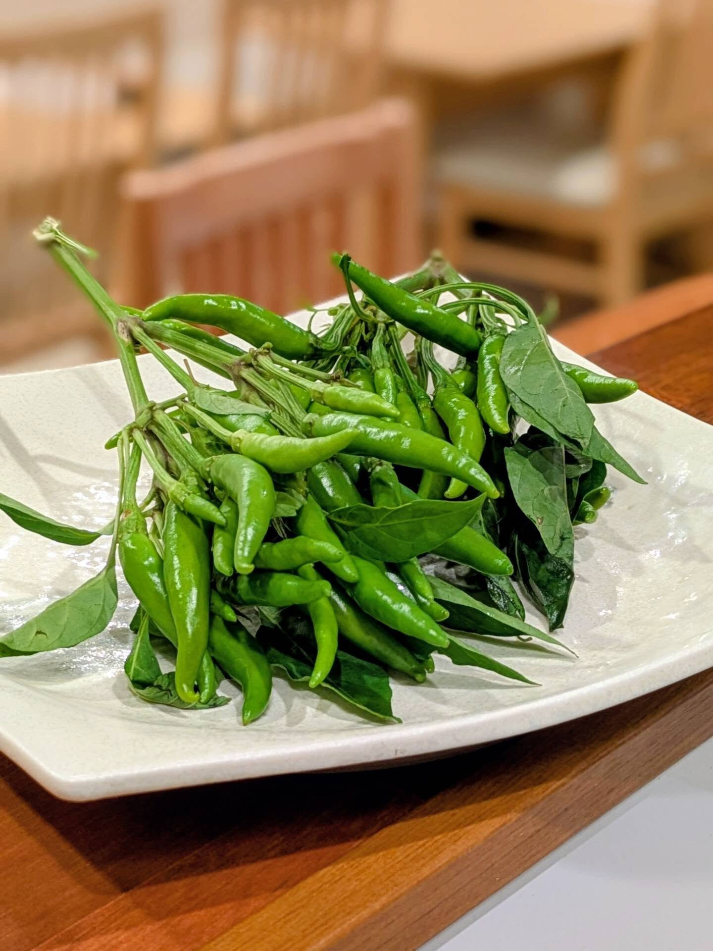 鎌倉野菜の青唐辛子です