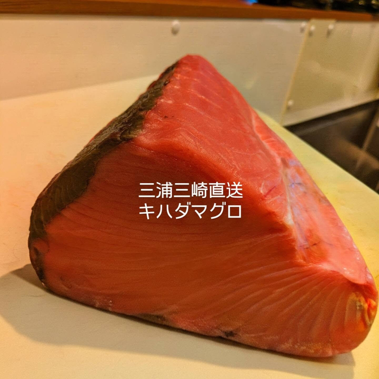 三浦三崎から鮮魚入荷しました