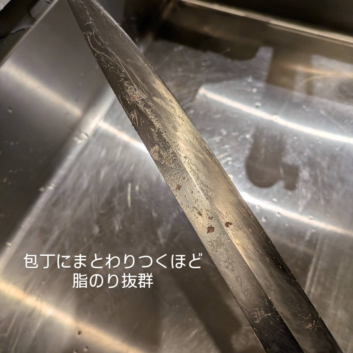 三浦三崎から鮮魚入荷しました