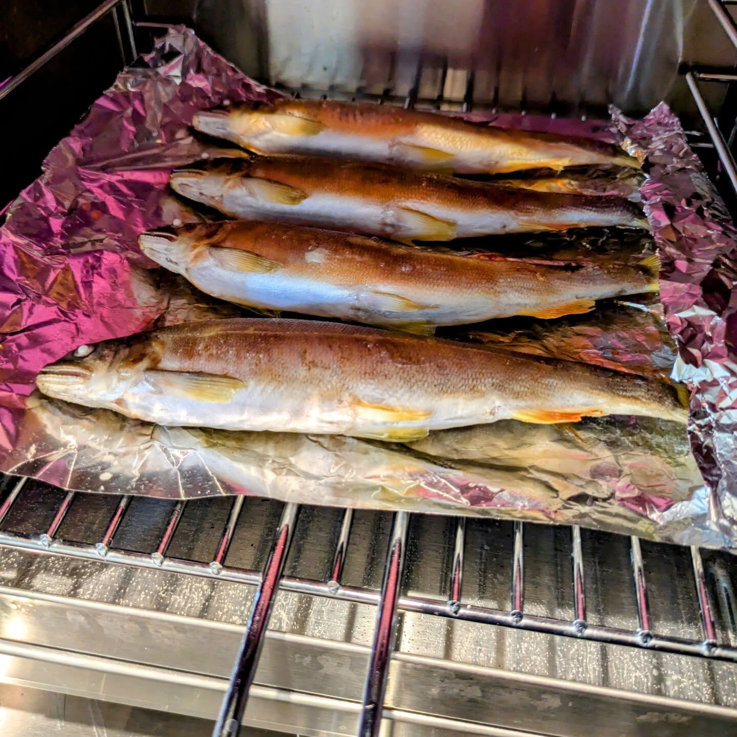 10月のコース用で子持ち鮎甘露煮を仕込みました