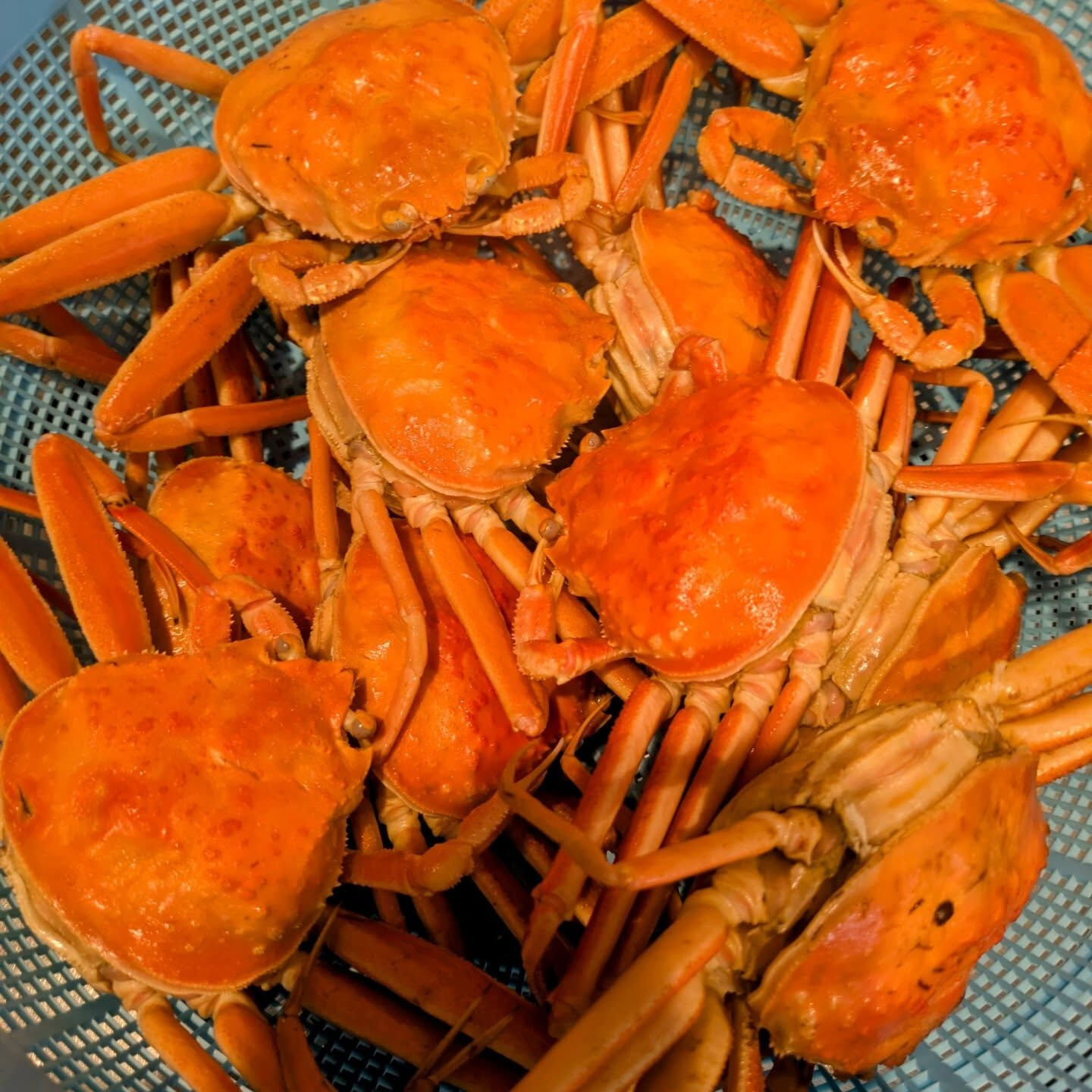 12月のコースの強肴です🦀