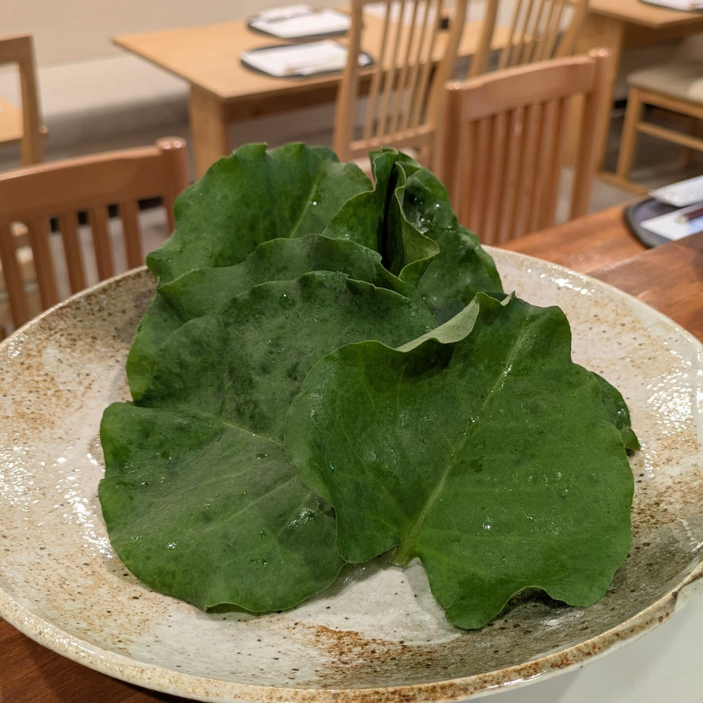 鎌倉野菜のおかわかめ入荷しました🍃