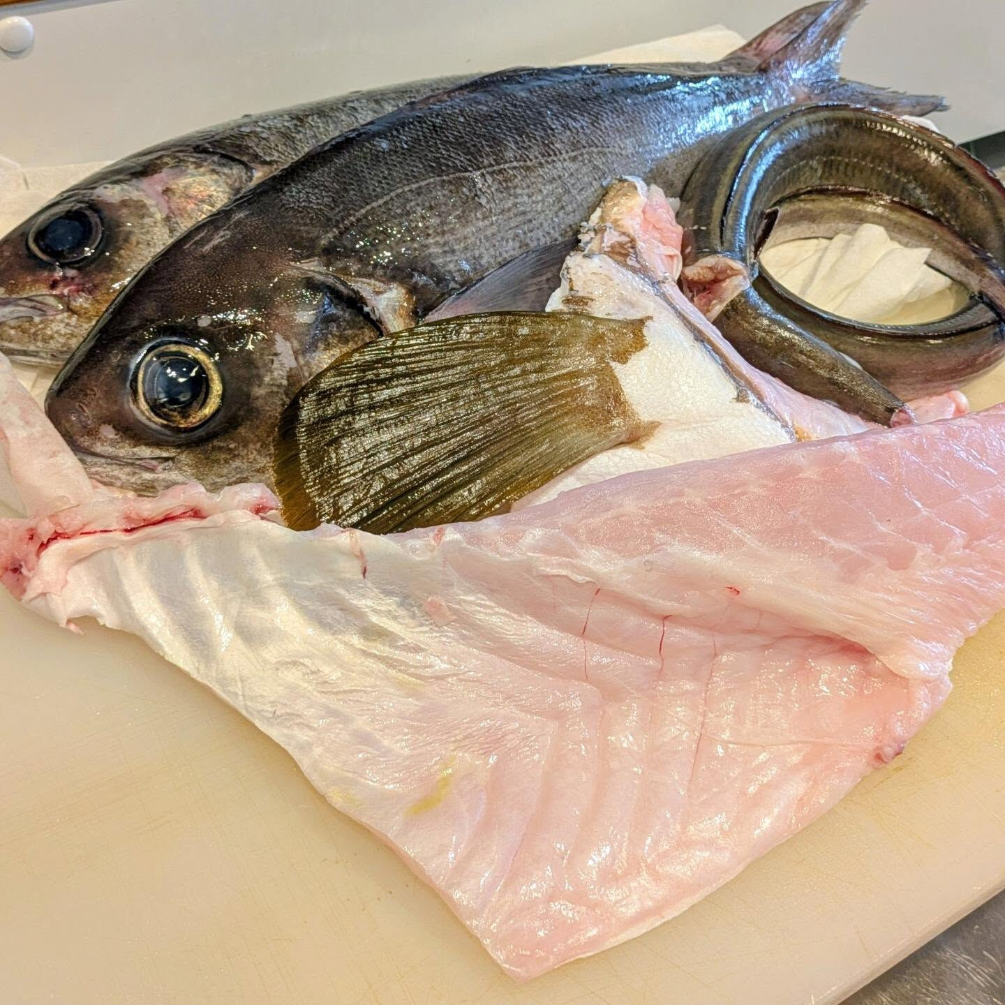 三浦三崎から鮮魚届きました🐟️